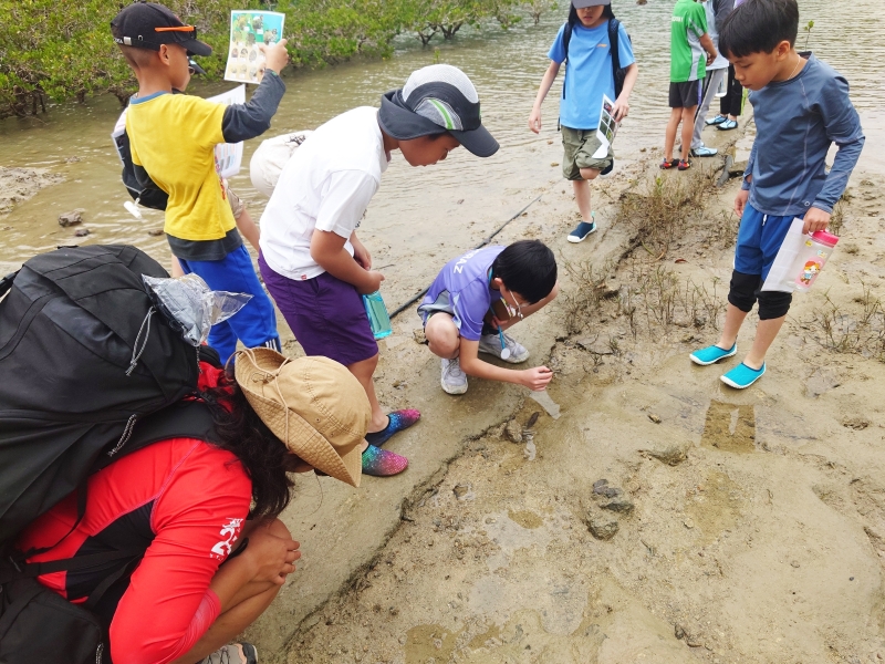 Year-4-–-Global-Classroom-Overnight-Camp-in-Sai-Kung-6