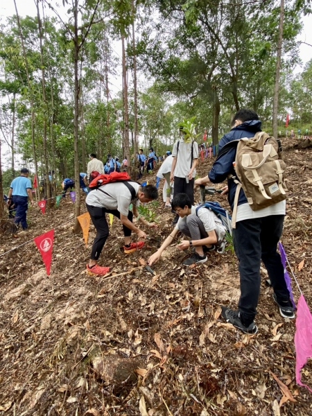 Hong-Kong-Tree-Planting-Day-7