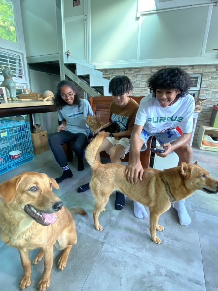 LA-Voluntary-Service-–-Big-Tree-Animal-Sanctuary-Adoption-Centre-1