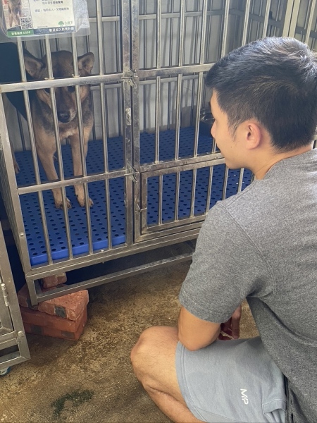 LA-Voluntary-Service-–-Big-Tree-Animal-Sanctuary-Adoption-Centre-3