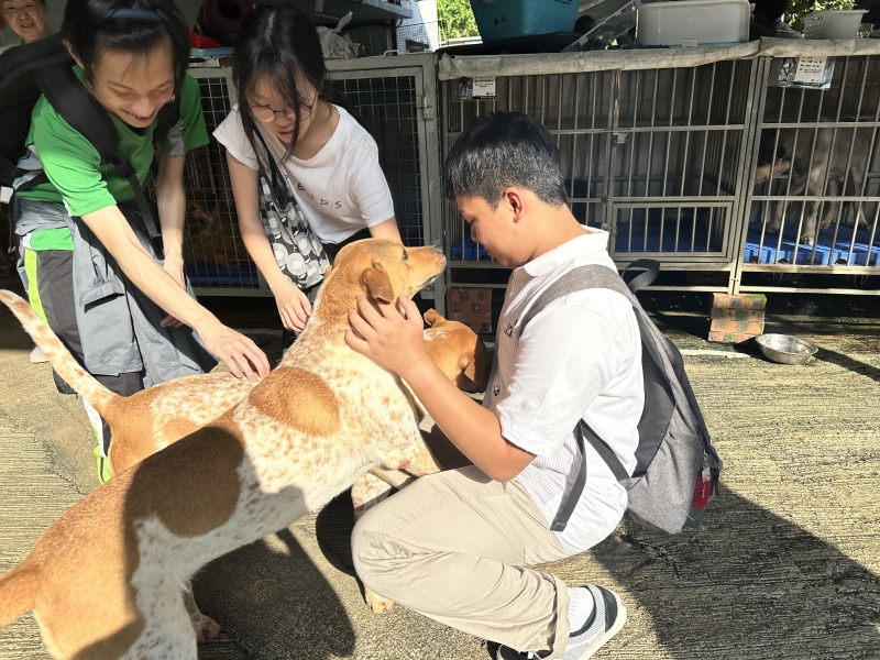 LA-Voluntary-Service-–-Big-Tree-Animal-Sanctuary-Adoption-Centre-4