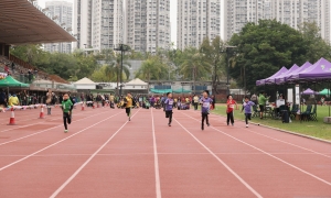 Primary Sports Day