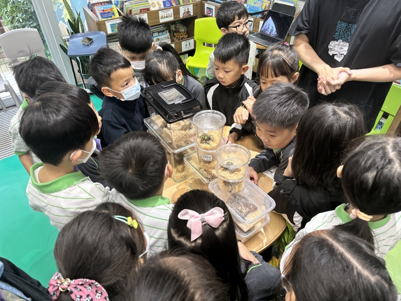 Beetle-Obervation-and-Crafting-Activity-2