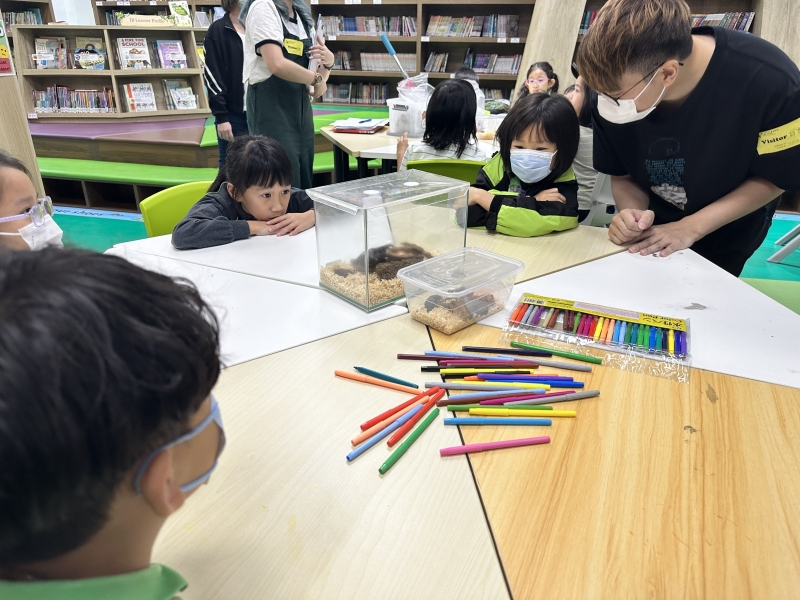 Beetle-Obervation-and-Crafting-Activity-4