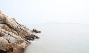 Year 11 (DP) Biology Virtual Field Trips - Fan Lau Kok