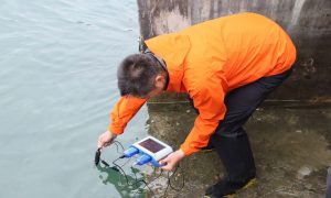 Year 11 (DP) Biology Virtual Field Trips - Hoi Ha Wan