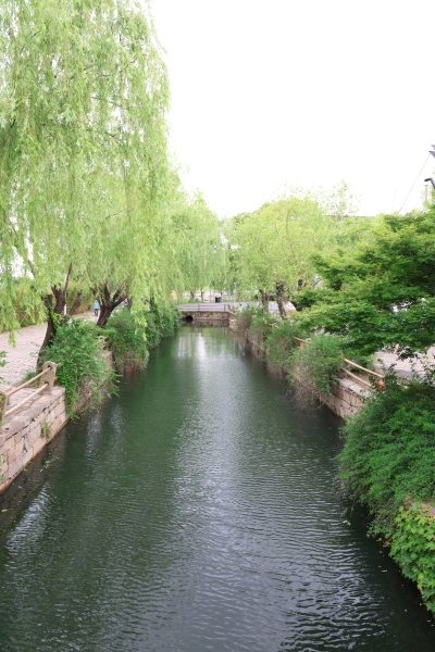 Year-5-Global-Classroom-Trip-to-Shanghai-37