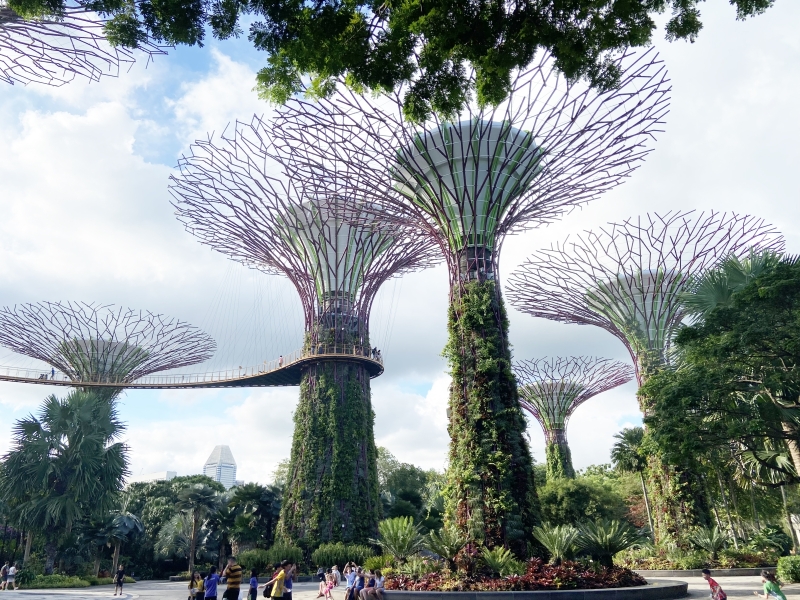 Year-6-Global-Classroom-Trip-to-Singapore-22